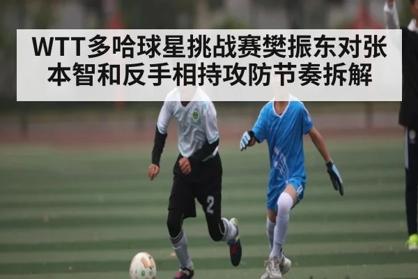 WTT多哈球星挑战赛樊振东对张本智和反手相持攻防节奏拆解