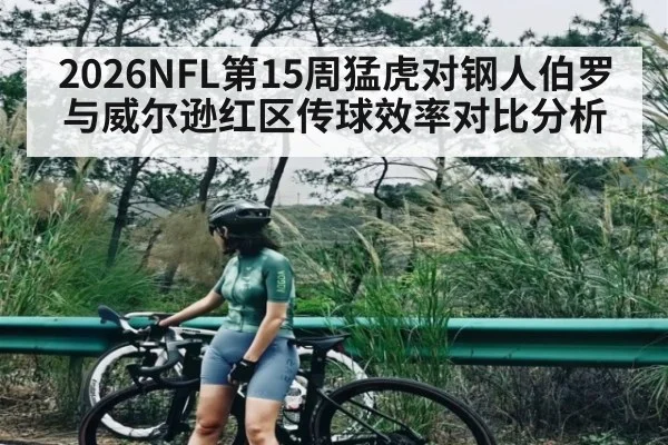2026NFL第15周猛虎对钢人伯罗与威尔逊红区传球效率对比分析